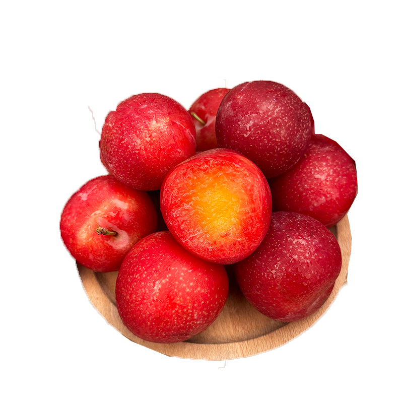 ���ش��������ڽ���ӣ�����5��ԭ�����װ����30g+Ӧ������Դͷֱ��