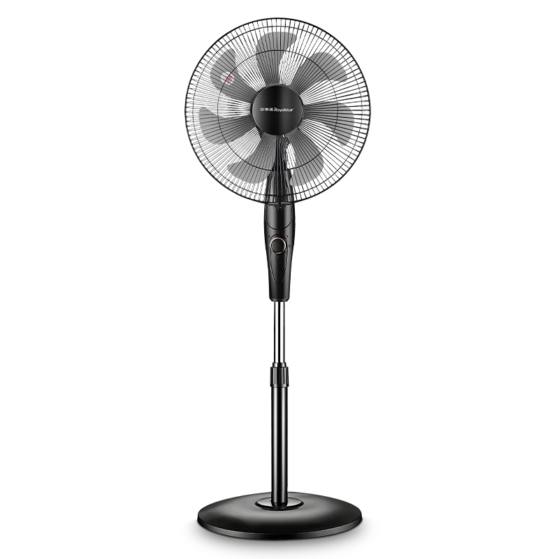 Royalstar ���´� FS09-16F1 ����� ������� ��ɫ 59.24Ԫ����