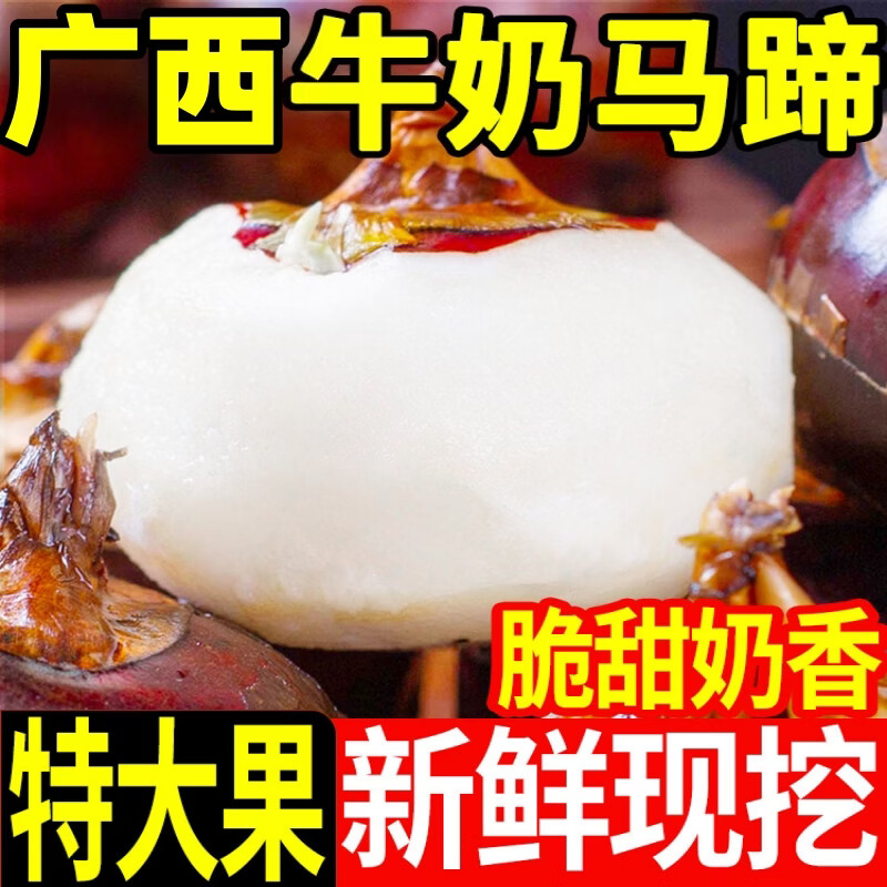 黄六爷广西合浦马蹄荸荠农家自种现挖多汁时令蔬菜生熟可口煲汤火锅食材 5斤【特大果】约65-90个，脆甜奶香多汁