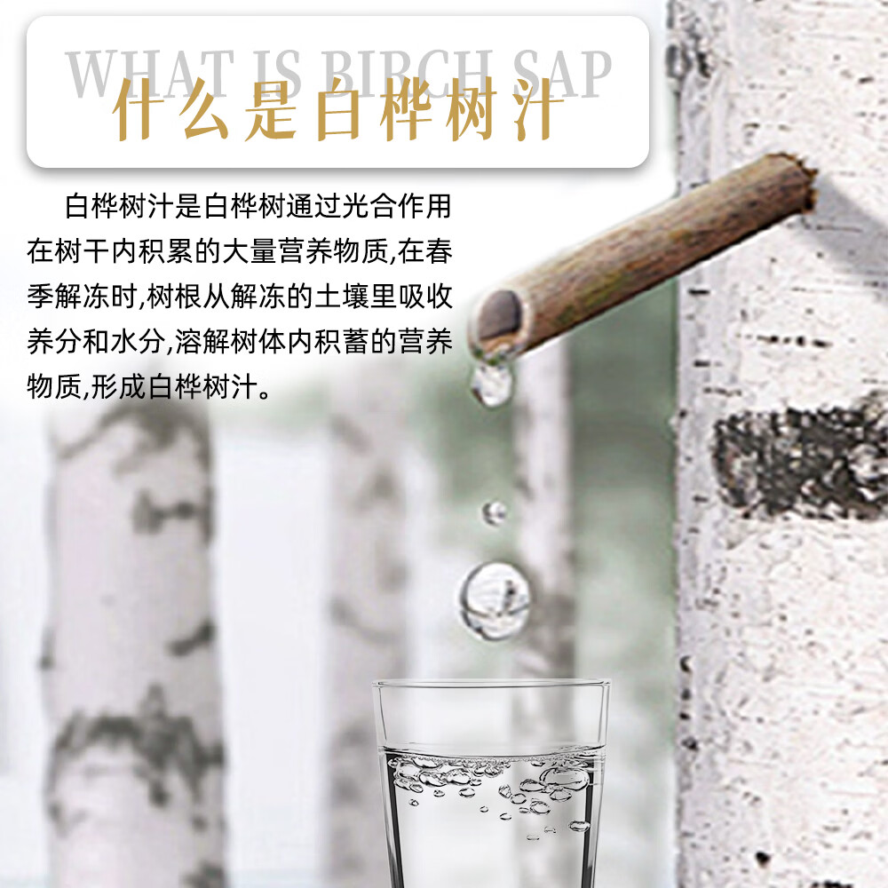 葡口韩版大果肉颗粒葡萄汁饮料238ml*6罐 100%白桦树汁238ml*10瓶