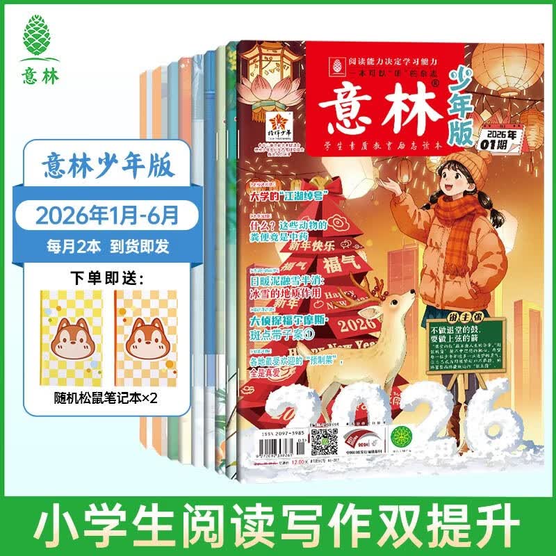 意林少年版期刊订阅杂志2026年1-12月全年订阅25/24年期刊 小学生课外阅读与积累 下单全年送帆布袋图书 【26年订阅】少年版26年1-6月（12本）