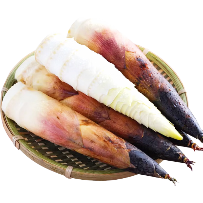 京觅临安天目山雷笋 净重3斤 13-18根 新鲜蔬菜现挖春笋源头直发包邮