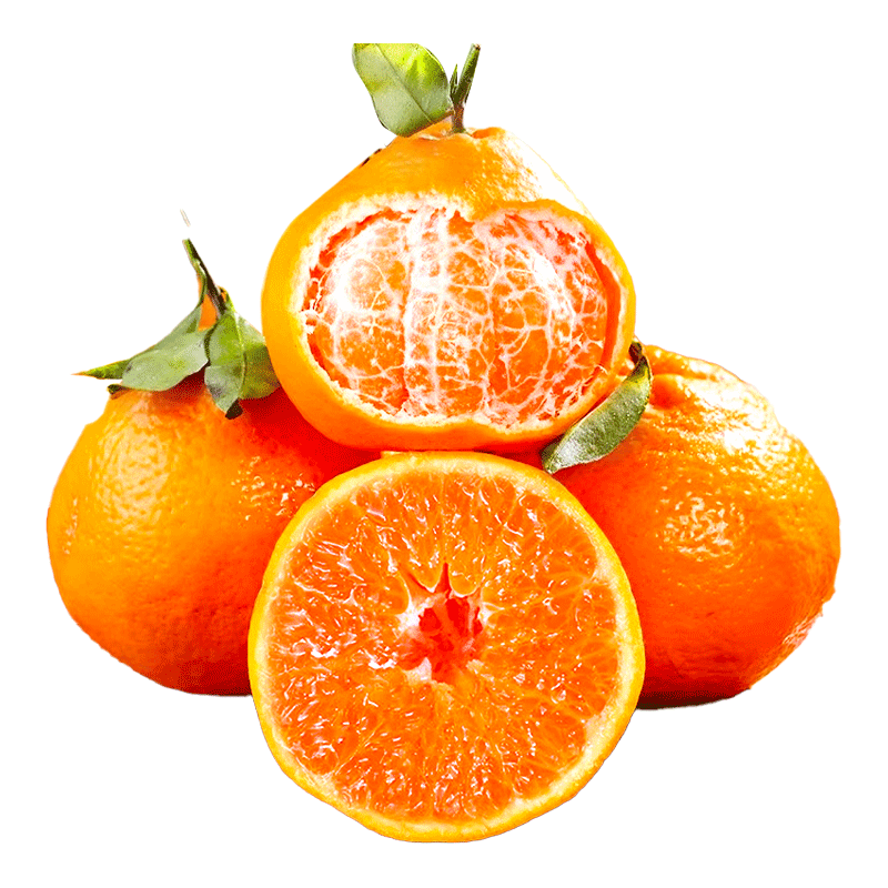 ���ش������Ĵ������ҰҸ����θ�����9�ﵥ��95mm+����ˮ�����Դͷֱ�� 219.69Ԫ��3��(��73.23Ԫ/��)