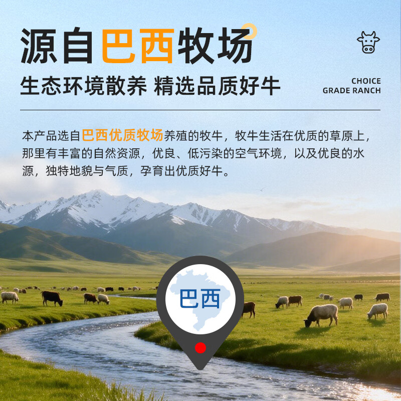 飞熊领鲜原切牛腿肉 净重2斤 牛肉生鲜进口原切牛腿年货节炖煮食材 原切牛腿肉1kg