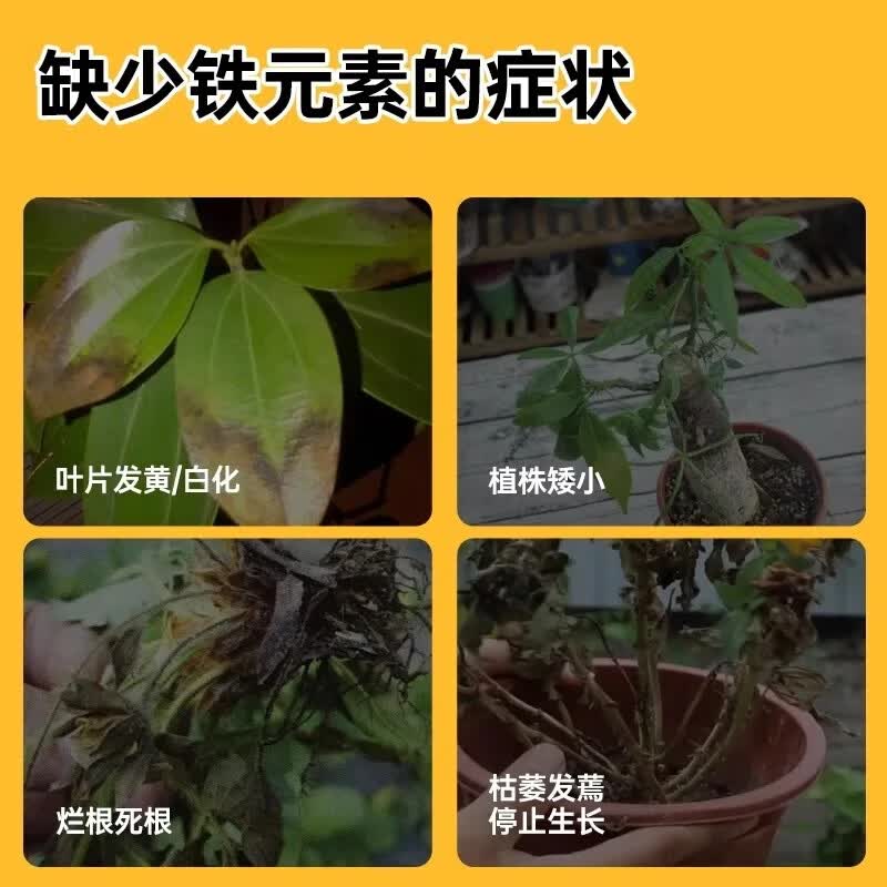 智绿硫酸亚铁花肥料喜酸植物栀子花茶花杜鹃花桂花水溶肥防黄叶家用肥 硫酸亚铁瓶装500g