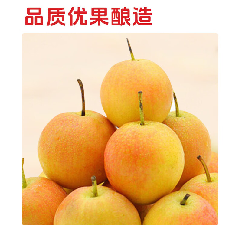 南果丽人南果梨酒礼盒东北特产南果发酵果酒微醺低度甜酒原果精酿送人聚会 南果丽人果酒500毫升*2瓶（礼盒装）