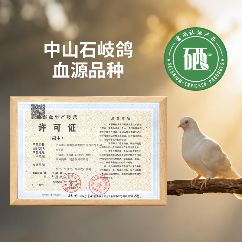 LINGLINGGE鸽血肽白蛋白肽口服液补气血营养品手脚冰凉面色不佳睡眠质量内调 【体验装1盒】 10ml*10瓶