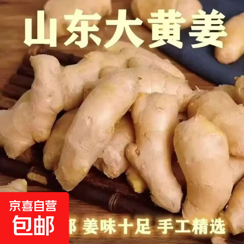 新鲜老姜生姜批发风干无土姜块黄姜月子姜山东大姜新鲜现挖原生态 山东大姜1斤/箱