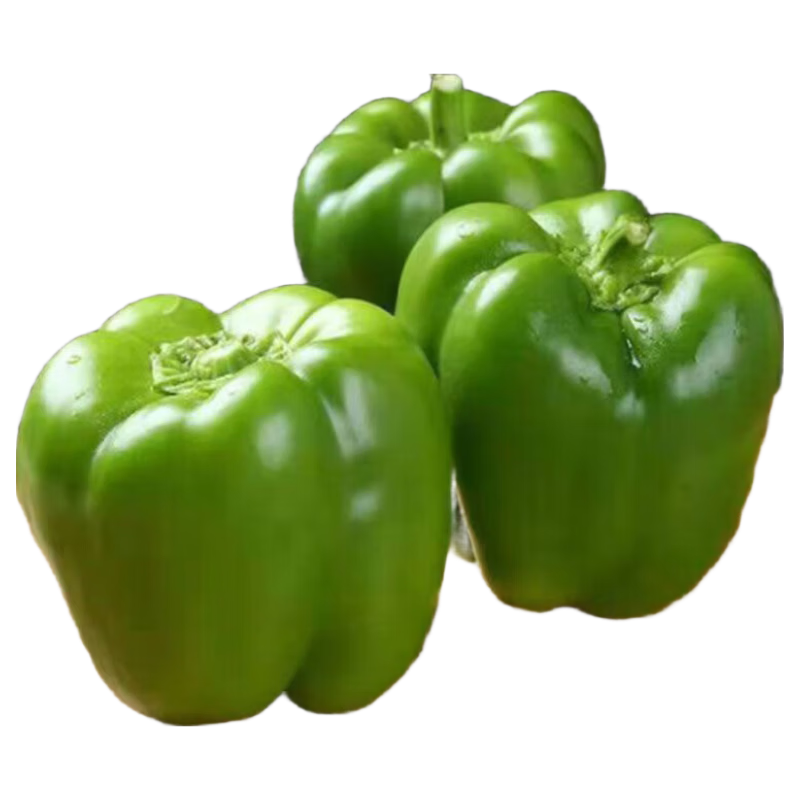 ɽ�� ��ɫ �� ������ժ �������ӽ� Բ�� �߲����� ��ɫ ����4�� 20.89Ԫ����5.2һ�