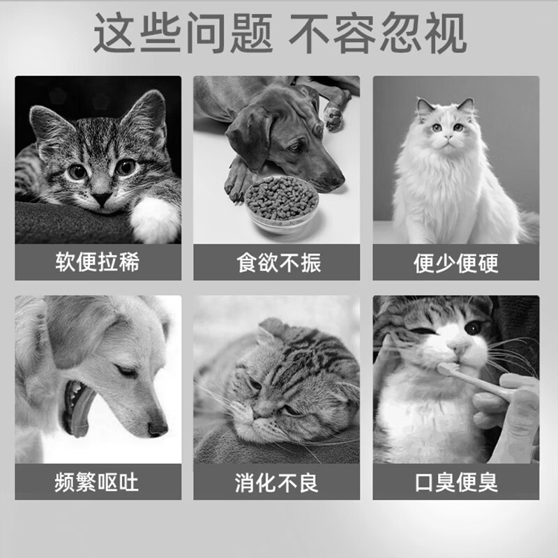 MULMUL宠物复合益生菌幼犬幼猫狗狗猫用呕吐拉稀软便肠胃调理营养补充剂 【免疫加倍】肠胃宝 25g*10盒