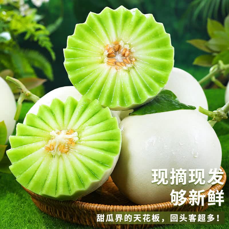 https://img14.360buyimg.com/pop/jfs/t1/390726/40/4344/172407/6973718fF61299a77/00833203200cbd24.jpg