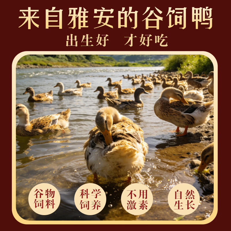 汉牦生四川特产手撕鸭肉低脂熟食五香麻辣卤味零食独立包装下酒菜 川味麻辣【500g】