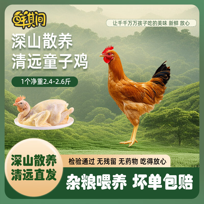 鲜其间【清远童子鸡】清远鸡走地鸡散养土鸡小公鸡整只生鲜新鲜鸡肉 清远童子鸡【2只净重4.8斤以上】/现宰现卖/真生态放养 顺丰/京东包邮/广东省内可做到/当天送达