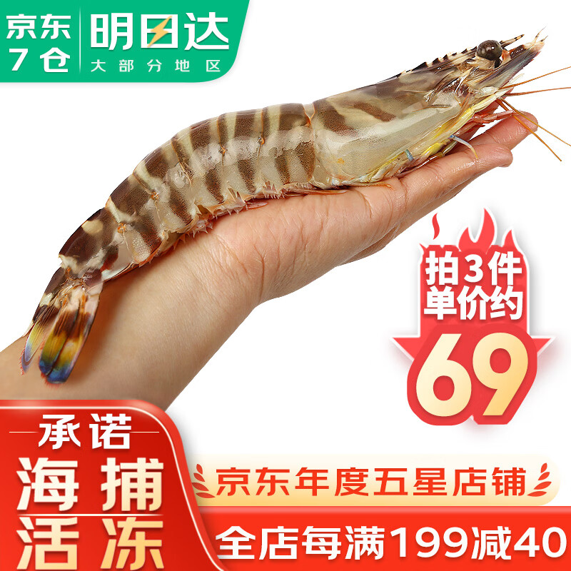 哆鲜生 海捕竹节虾 野外生长活冻国产斑节虾大花对虾九节竹节鬼虾虾类 竹节虾 特大号 5-6条 300g(净重) 