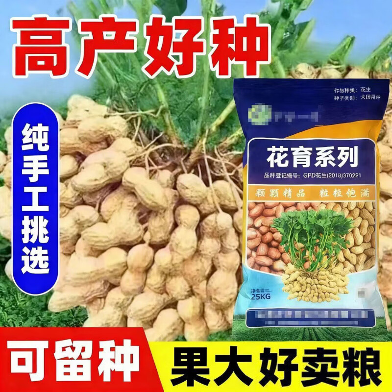 轻松获高产 农科院新育种