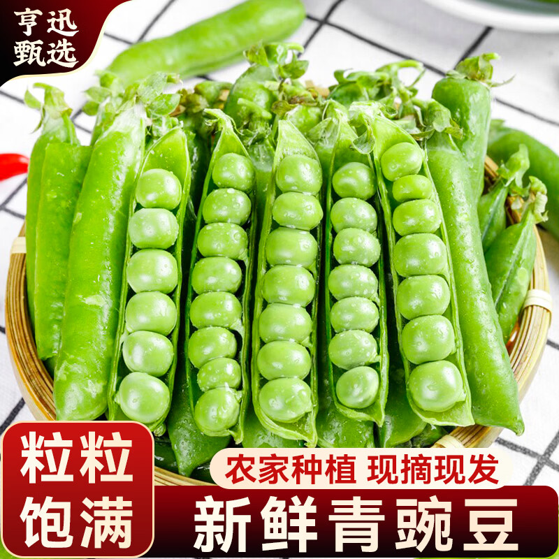 亨迅云南青豌豆带壳青豆角甜豆荚现摘新鲜农家蔬菜 净重5斤装【现摘现发】