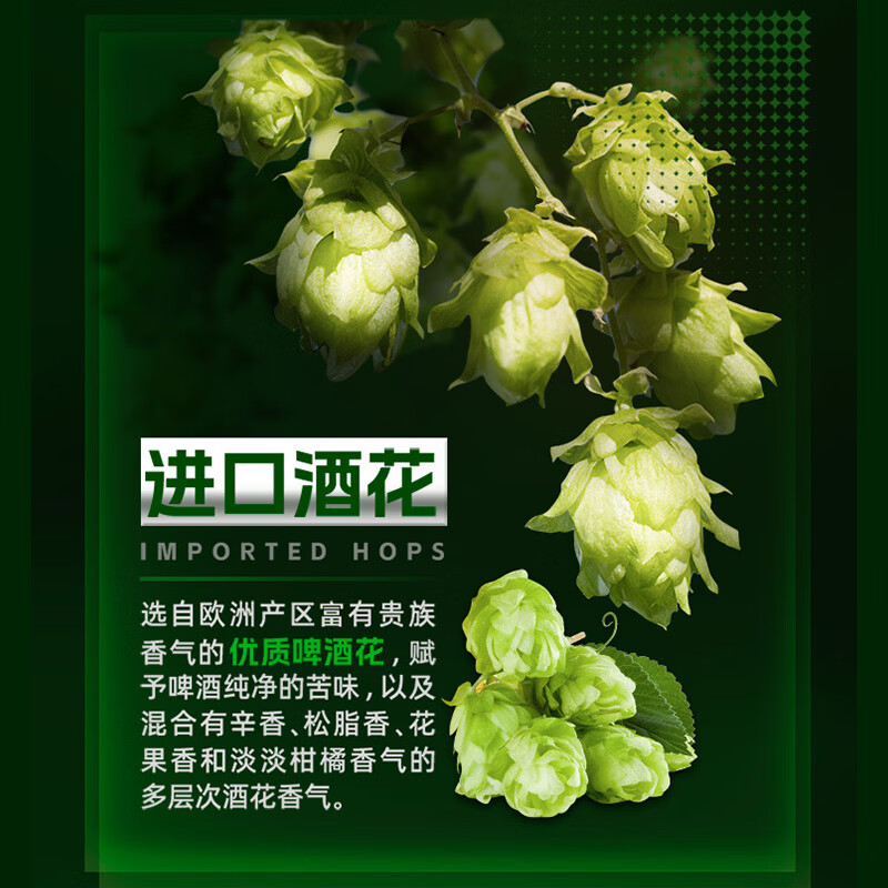 五星纯生啤酒原麦汁浓度8.0°P北京百年老字号 尽享纯生 500ml*12罐*2箱