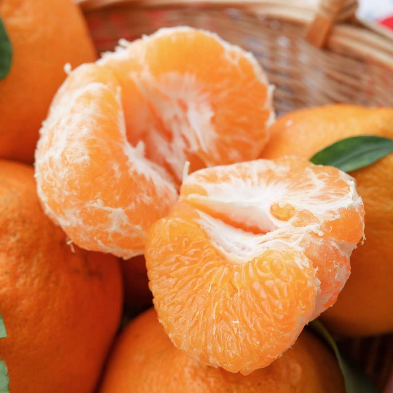 炎之梦®正宗晚熟高山春见耙耙柑四川眉山丹棱柑橘官方旗舰店严选水果 4.5-5斤彩盒装（大果 80mm以上）顺丰快递