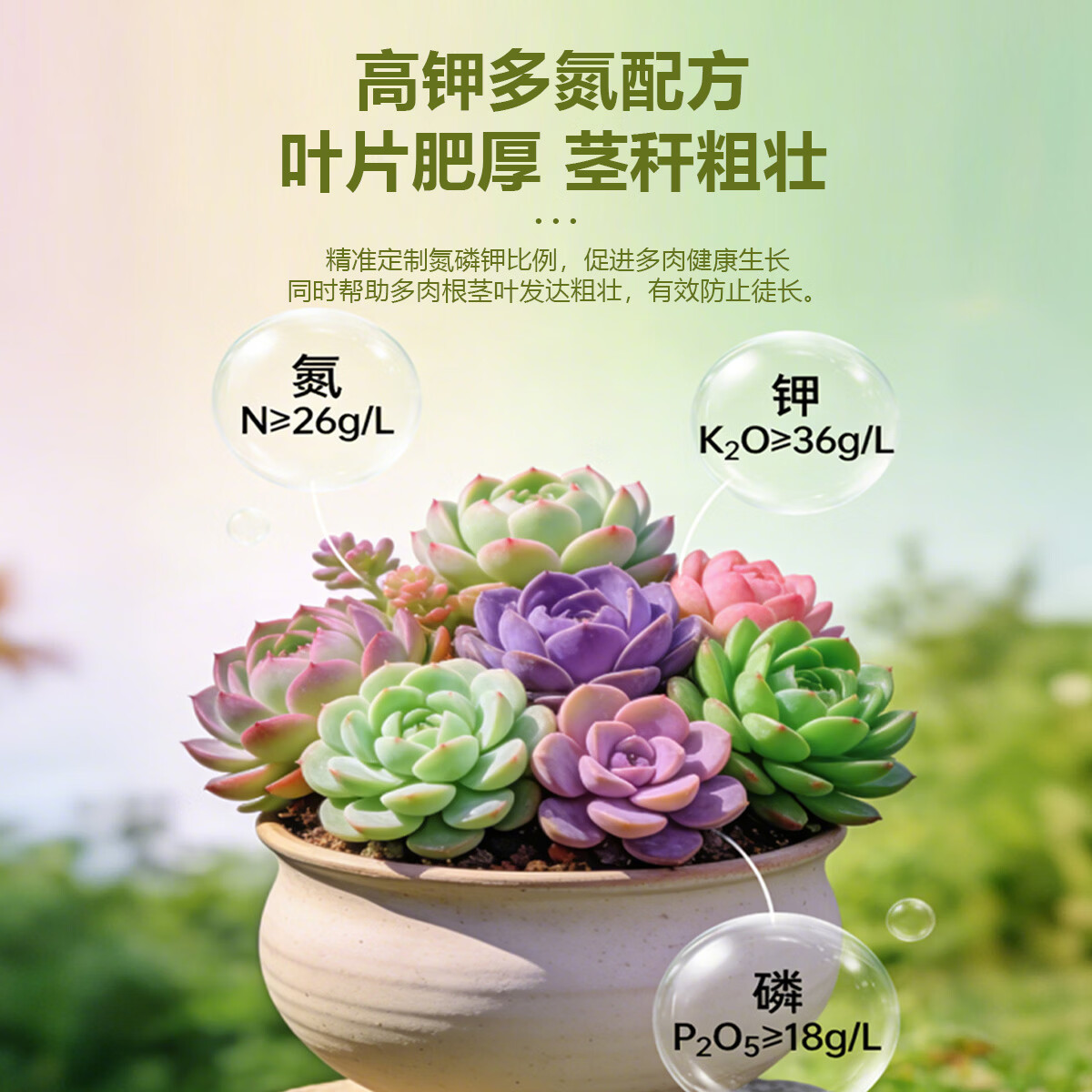 多肉营养液专用肥植物肥料水溶上色液体优芽爆芽矮壮生根素营养液 全多肉植物专用营养液1100ml