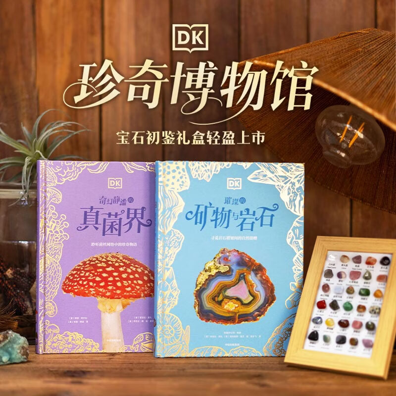 DK珍奇博物馆 维纳斯的赠礼礼盒（DK绚丽的蝴蝶与飞蛾+DK流光溢彩的贝壳）【6-14岁】理查德 琼斯著 中信出版社正版图书 DK珍奇博物馆·宝石初鉴礼盒