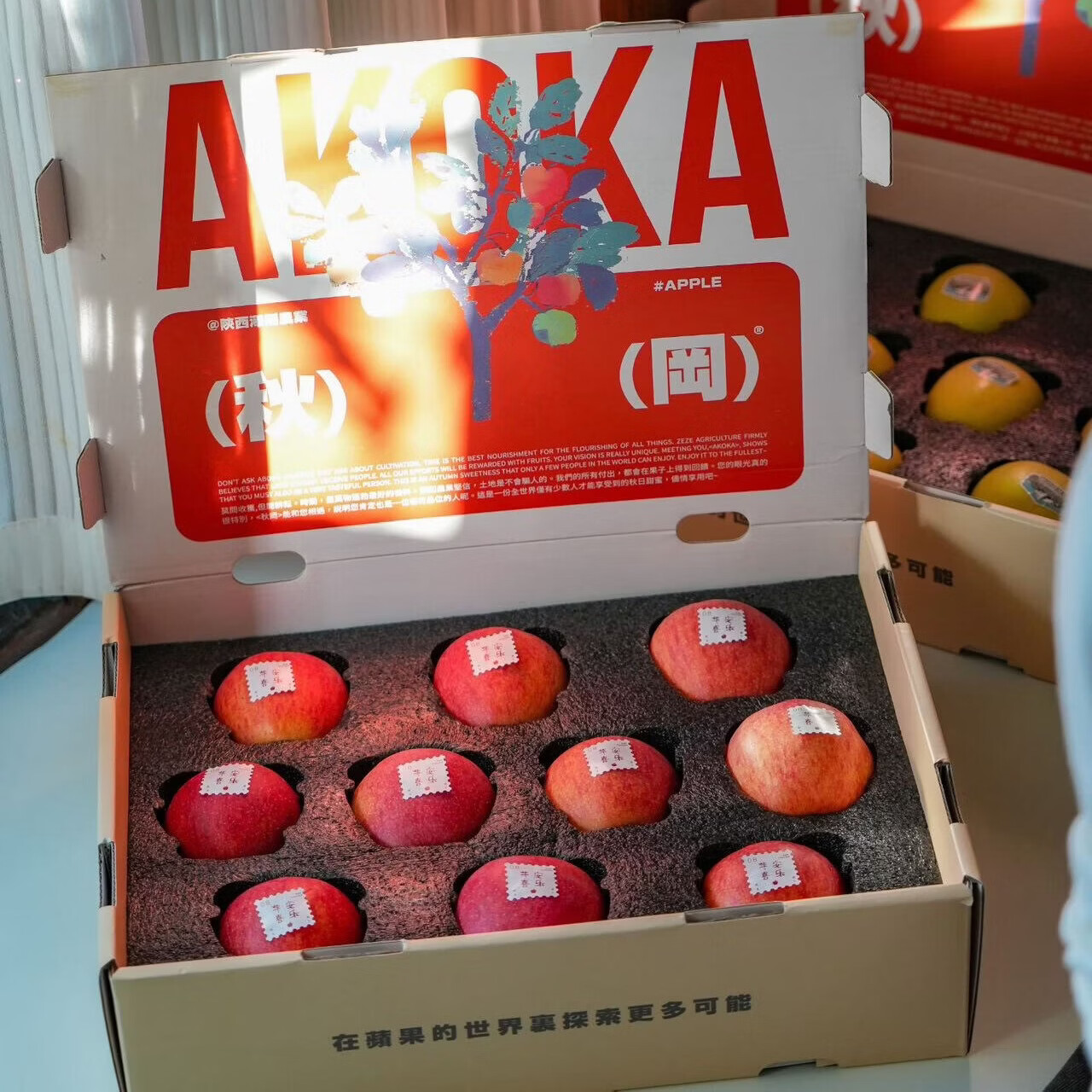 洛川高原秋冈苹果EV 花蜜甜香品种来自"世界第一"+"昂林"年货礼盒 严选中大果【4.5斤家庭分享装】9-12 枚 | 顺丰锁鲜