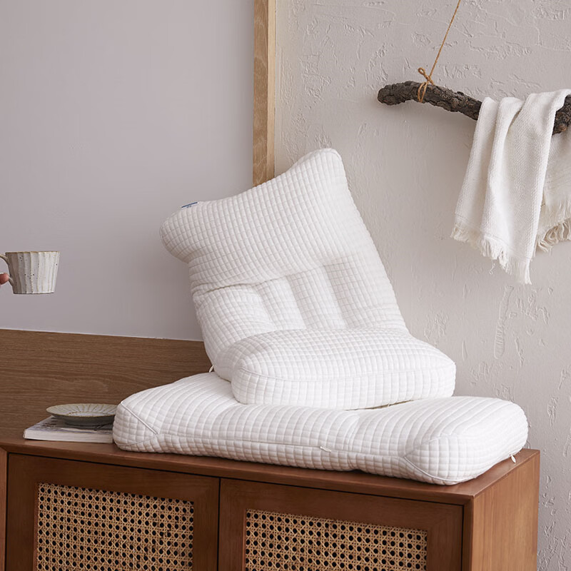 ROLAND LIVEPE软管减压枕头护颈椎助睡眠枕头单人枕芯40*60cm透气家用枕头 EOEO   PE软管枕 一只装 40*60cm