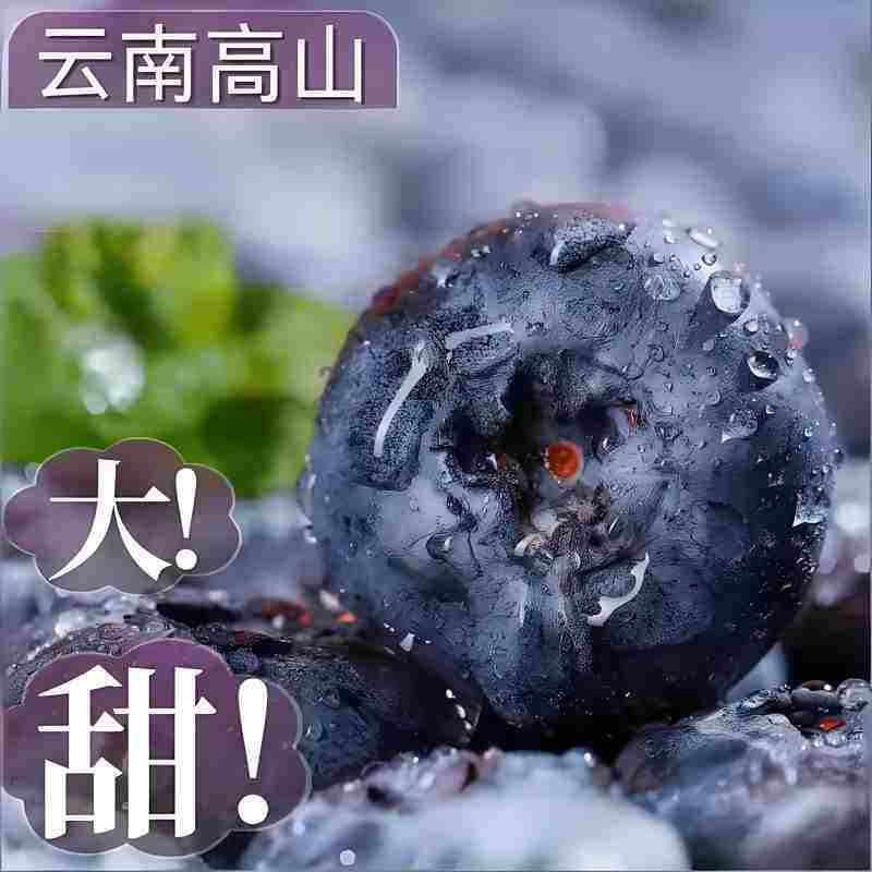云南花香蓝莓新鲜水果高山蓝莓新鲜现采现摘高山孕妇水果送礼物品 10盒装 多买多划算【90-115g/盒】 云南花香蓝莓新鲜水果高山蓝莓新鲜现采现摘高山孕妇水果送礼物品 10盒装 多买多划算【90-115g/盒】