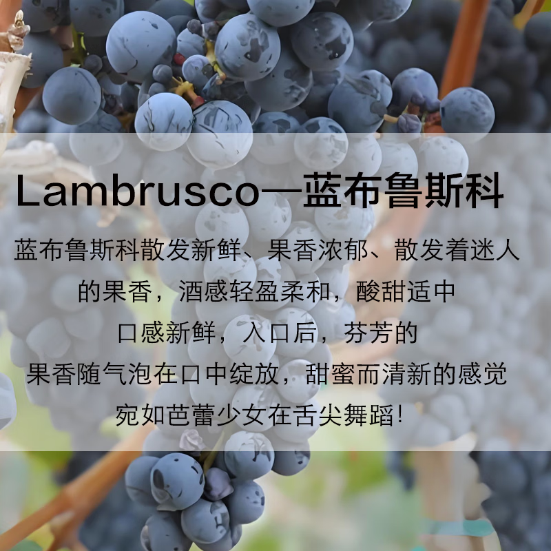 博颂意大利无醇零度无酒精起泡气泡葡萄汁CIMICKY ZERO 【混双】静态无醇+气泡无醇