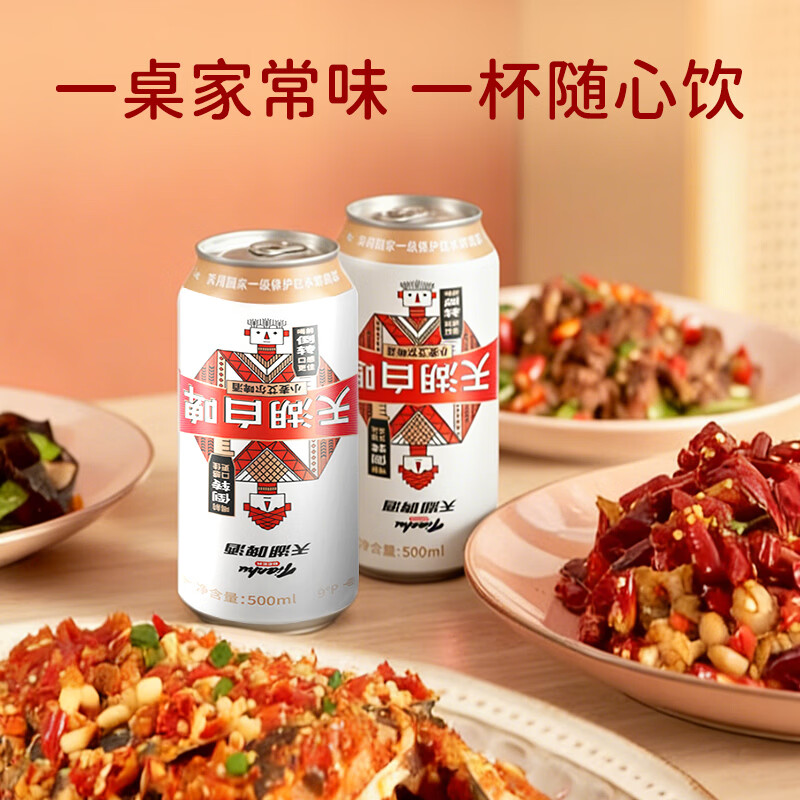 天湖啤酒9度精酿白啤浑浊型小麦艾尔啤酒口感醇正东北抚顺特产啤酒 500ml*12罐