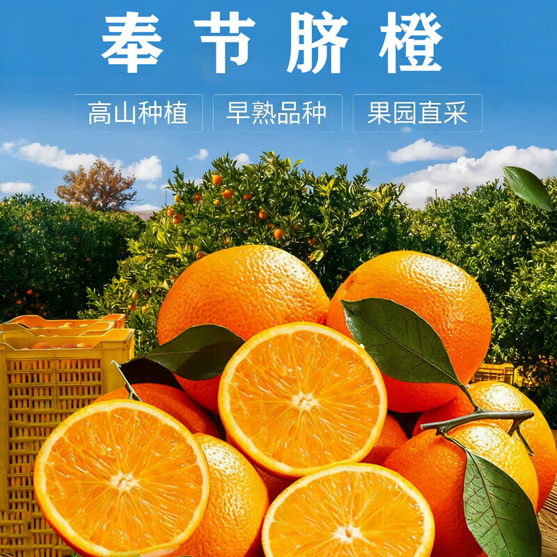 薏品甄鲜奉节脐橙地标水果新鲜现摘薄皮好剥新鲜采摘源头直发 奉节脐橙4.5斤【规格65-70mm】 京东折扣/优惠券