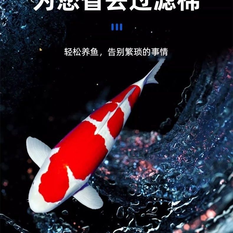 初啸鱼缸鱼池周转箱过滤网304不锈钢超细超密过滤网好清洗滴流盒过滤 宽15厘米X长35厘米 高2厘米 【200目】推荐小型鱼用