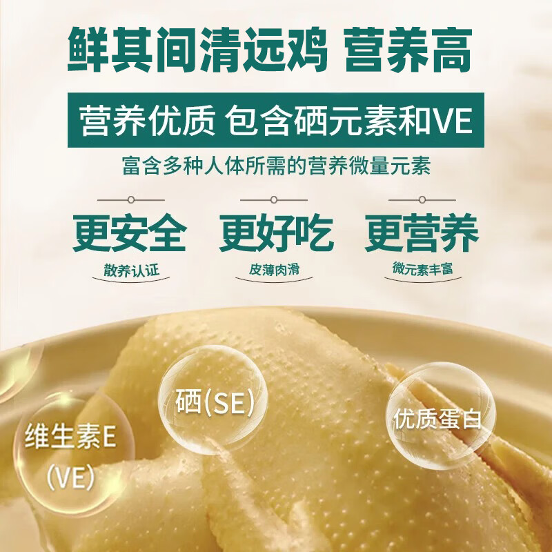 鲜其间【清远童子鸡】清远鸡走地鸡散养土鸡小公鸡整只生鲜新鲜鸡肉 清远童子鸡【2只净重4.8斤以上】/现宰现卖/真生态放养 顺丰/京东包邮/广东省内可做到/当天送达