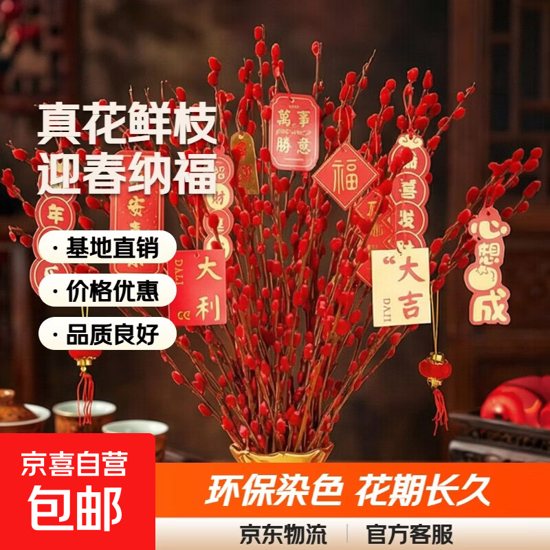 红色银柳真花鲜枝染色制作春节年宵植物花卉客厅室内装饰带挂件 红色银柳60cm30枝