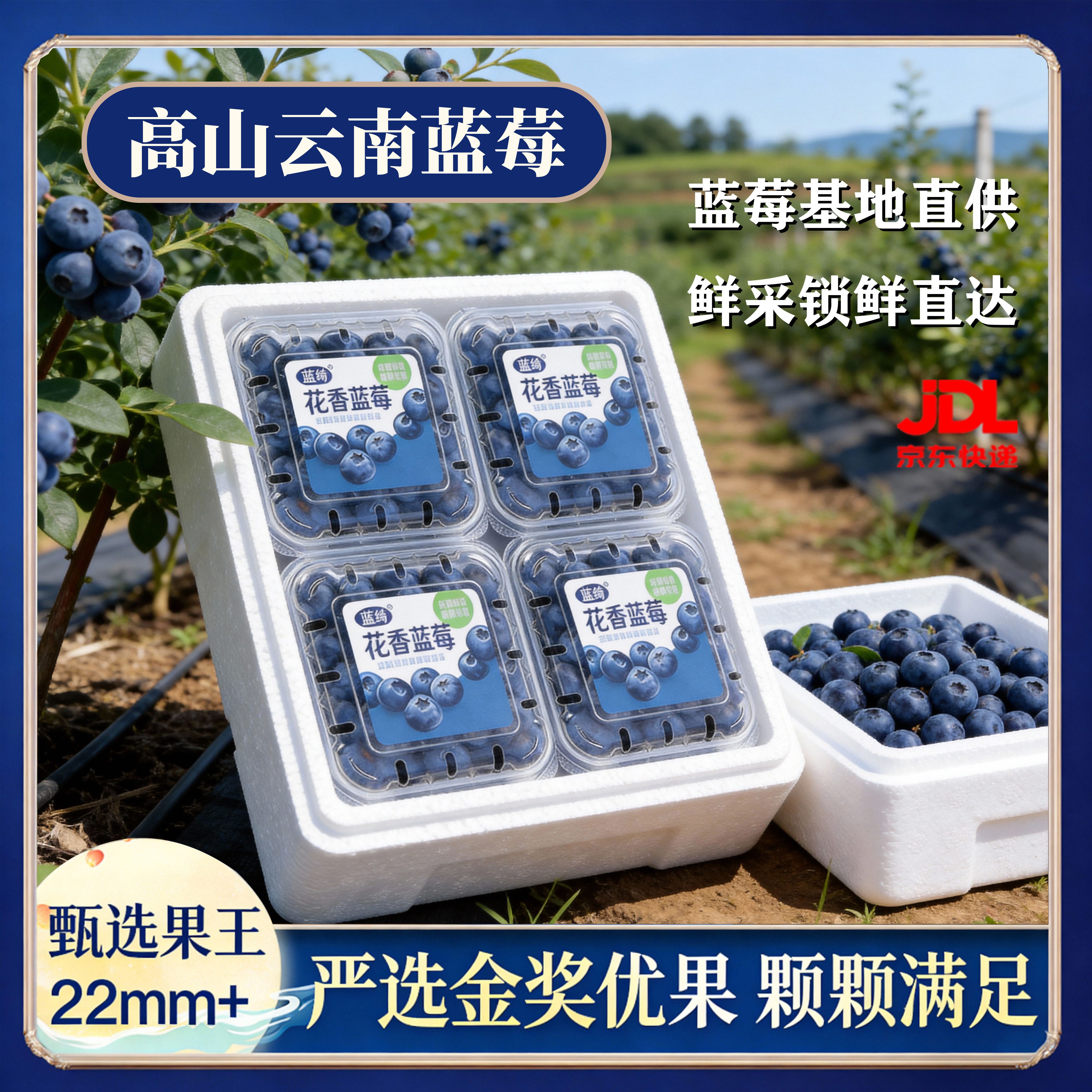 余悦云南花香蓝莓【JD-邮政空运 多地次日达】年货礼盒小蓝杯过节送礼 4盒【单果18mm+】125g/盒(净100g)保温普通装