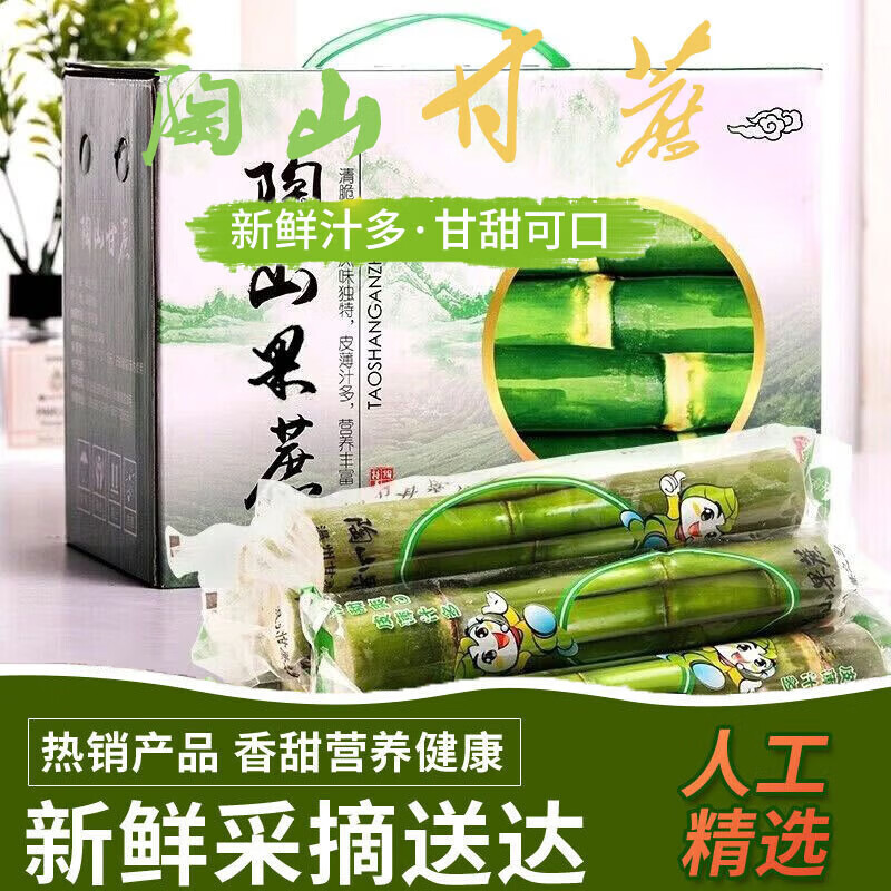 余悦陶山甘蔗【顺丰速发】青皮甘蔗中段当季新鲜水果整箱温州手撕甘蔗 带箱3斤丨精选中段果蔗丨净2.5斤