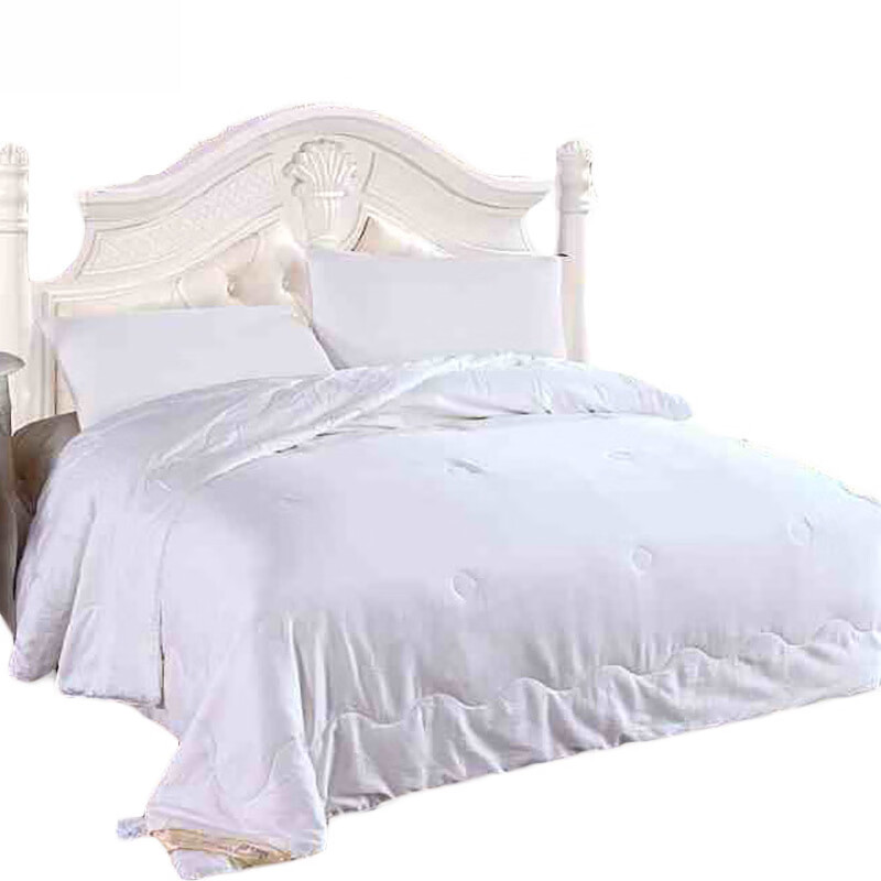 伊伊爱蚕丝春秋被毛重3斤 白色 CQB-9XWB-001/150*200cm