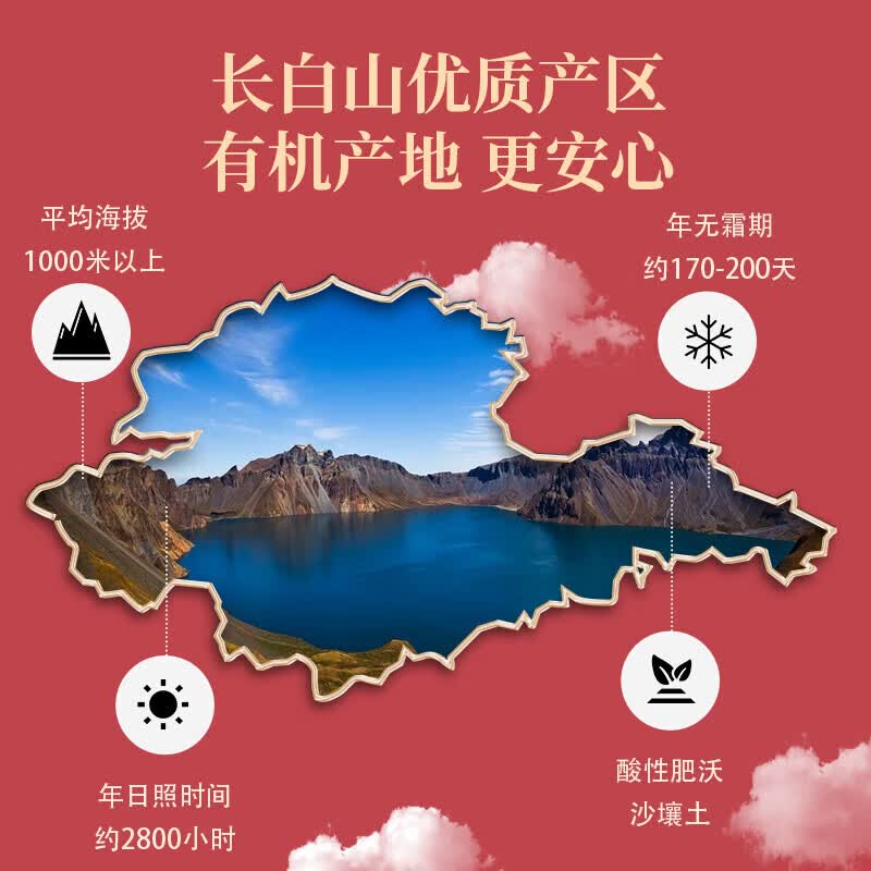 敖东红参片正品 长白山有机产地红参切片中大片 煲汤泡水送长辈营养品 【长白山足龄老参 特大切片】 100g*2瓶