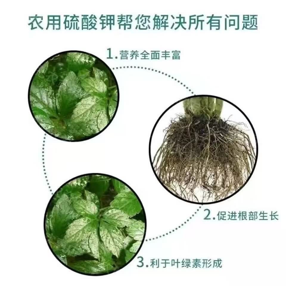 正品俄罗斯进口硫酸钾原包装钾肥果蔬小麦玉米通用农用高钾水溶肥 【新款原包装正品】50斤*1袋+快递包邮到乡镇