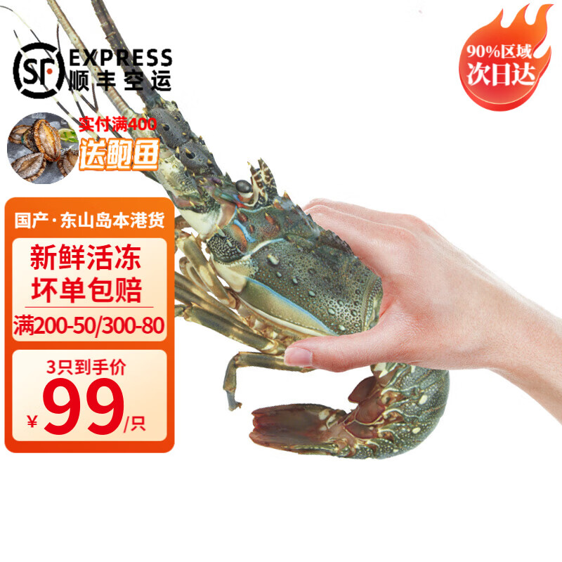 时寐东山岛海捕小青龙虾新鲜活冻大号青龙虾礼盒顺丰空运家庭聚餐净重  350-400克/只