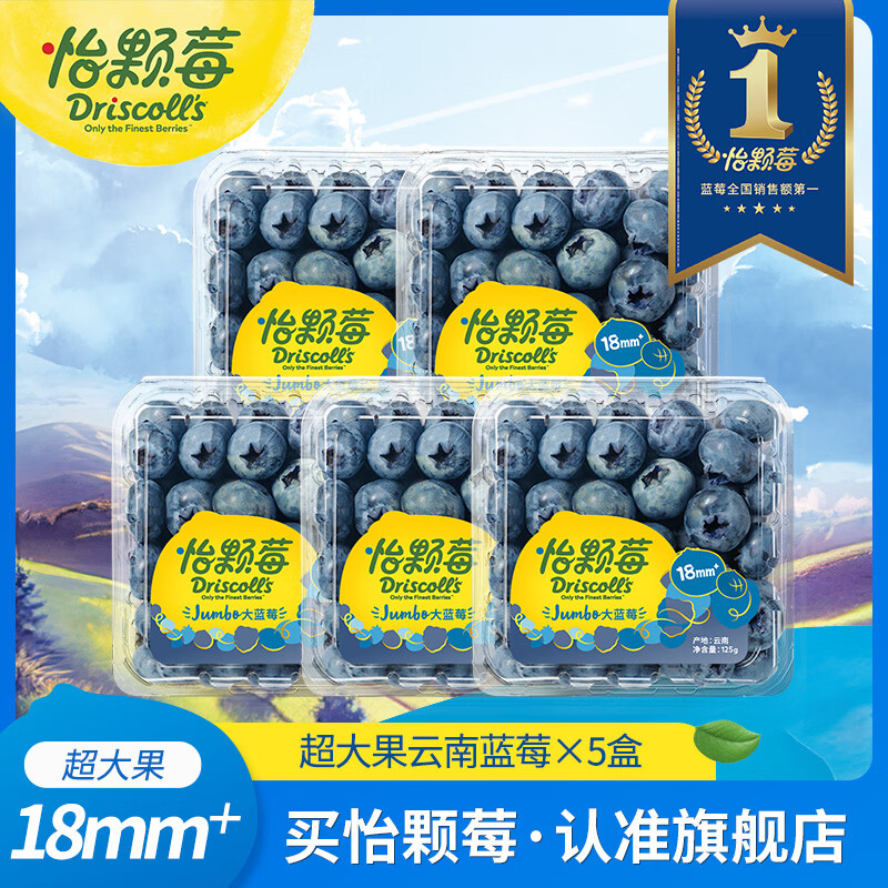 怡颗莓【颗颗饱满】当季云南蓝莓 国产蓝莓 新鲜水果送礼 Jumbo超大125g*5盒（18mm+）