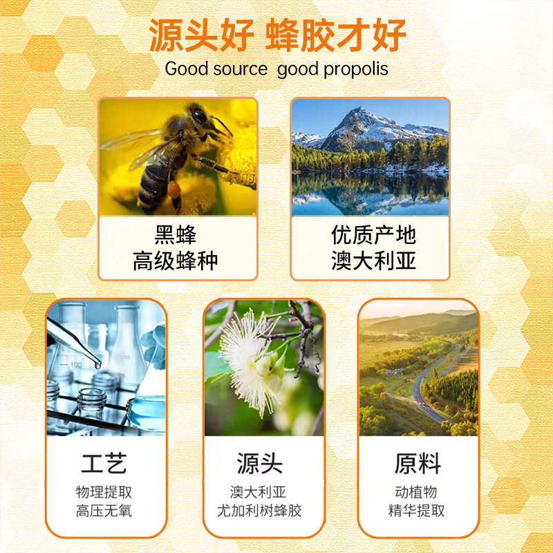 Aurinda AURINDA澳琳达 澳洲天然黑蜂蜂胶软胶囊澳大利亚原装进口免疫保健 1瓶装【健康护盾 滋养好气色】 60粒*1瓶