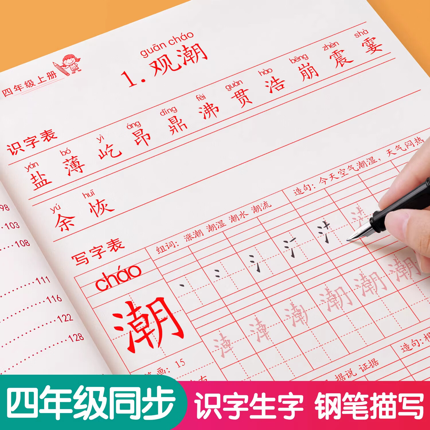 金枝叶四年级下册字帖语文人教版2026新版四年级上册下册同步练字帖4年级小学生专用钢笔临摹生字帖上下学期部编版练字本写字课课练 【四年级上下册】同步练字帖