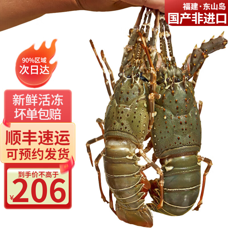 携宴福建小青龙虾大号龙虾海捕活冻大花龙海鲜除夕年夜饭春节送礼净重 2斤实惠装3-4只【超实惠】