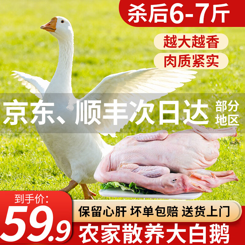 王氏正德 农家散养大白鹅整只 新鲜冷冻鹅肉嫩鹅土鹅 大鹅生鲜 大鹅净重6-7斤