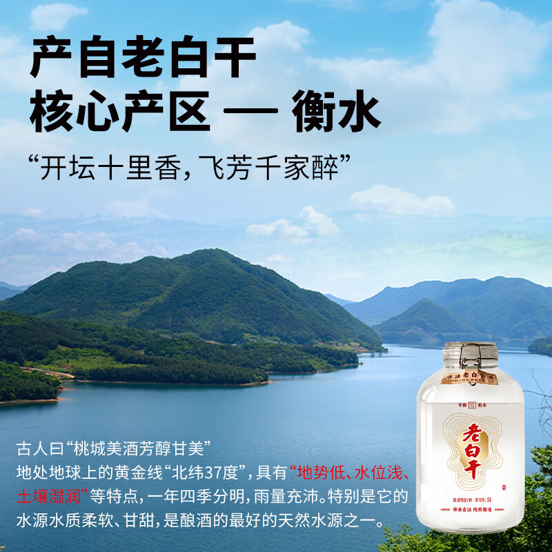 滏陽河老白干衡水52/62/67度老白干纯粮食酒高度白酒高粱酒玻璃坛5L泡酒专用酒 67度 5L 1坛 【浓香型老白干 经典度数纯粮酒】