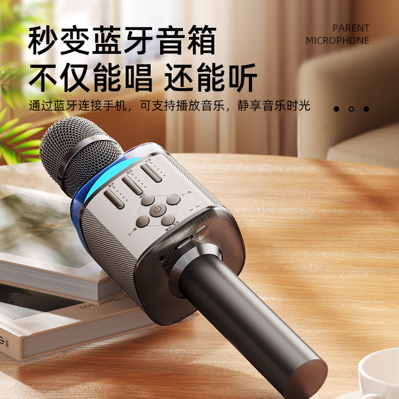 爱国者(aigo)K162话筒音响一体麦克风家用K歌无线蓝牙音箱声卡KTV唱歌麦 K162K歌麦-锖色【智能美声版】送收纳包