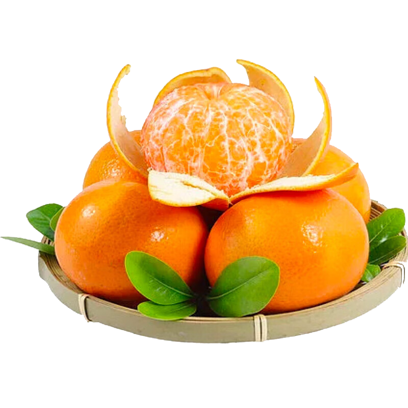 ���� �Ĵ���ɽ�ָ� ��������ˮ�� ������� ����4.5�� 65mm+ Դͷֱ�� 14.9Ԫ