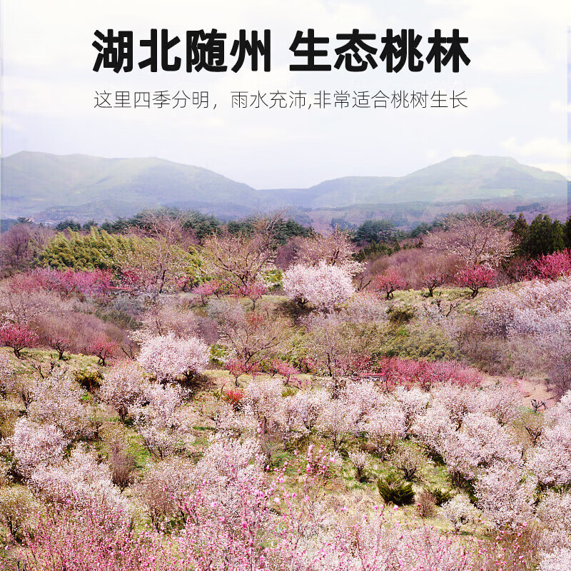 刀蔓桃胶雪燕皂角米组合 娇颜女神饮品组合煲甜汤炖煮花草茶罐装 桃胶+雪燕+皂角米 各 200g*1瓶