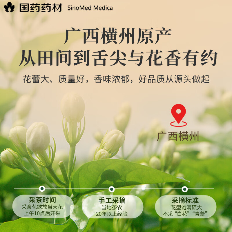 崇芝林国药药材茉莉花横县原产茉莉花茶干花蕾花草茶泡水喝养生茶饮110g 【广西横州】 110g*1罐 国药药材 只做道地好药材