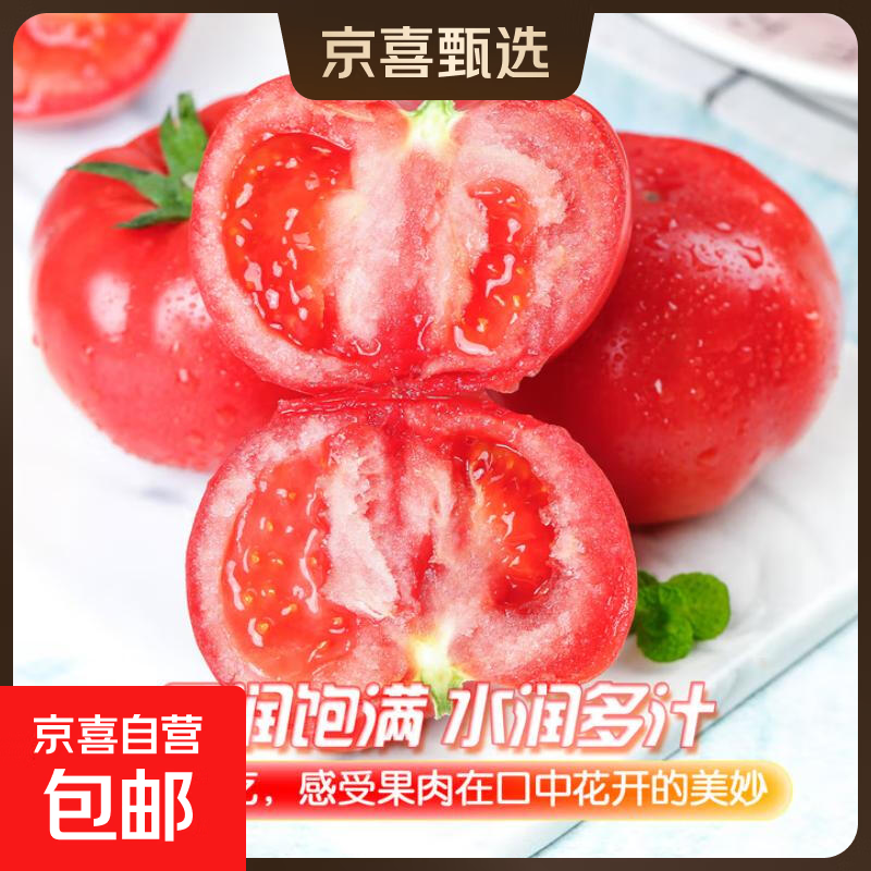 新鲜沙瓤西红柿自然成熟现摘现发番茄下蔬菜生鲜减肥单果80g+ 新鲜西红柿带箱5斤 4.5斤 净重
